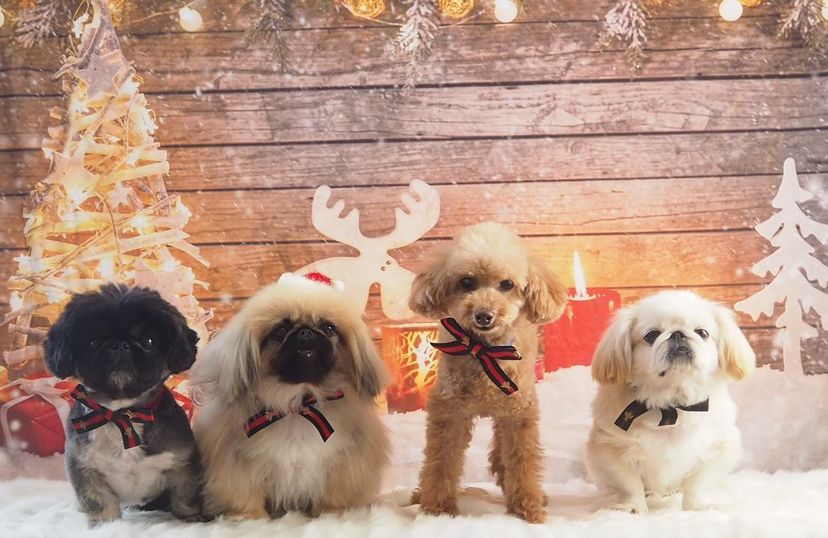 Kate キャンドル雪クリスマス背景