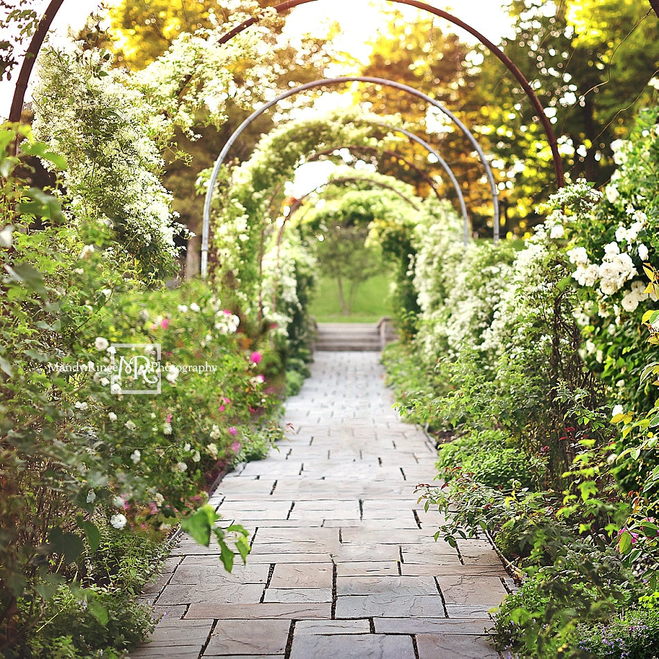 Kate 春の秘密の庭の小道の背景 設計された Mandy Ringe Photography