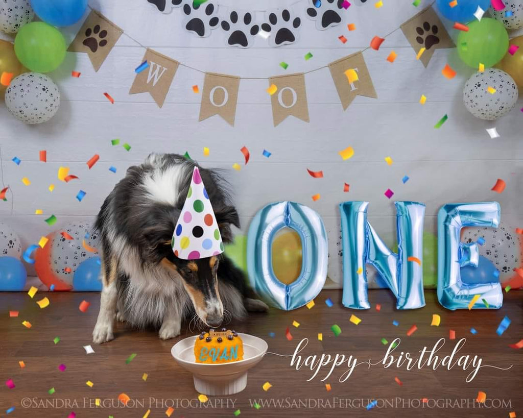 Kate 犬と風船の装飾背景