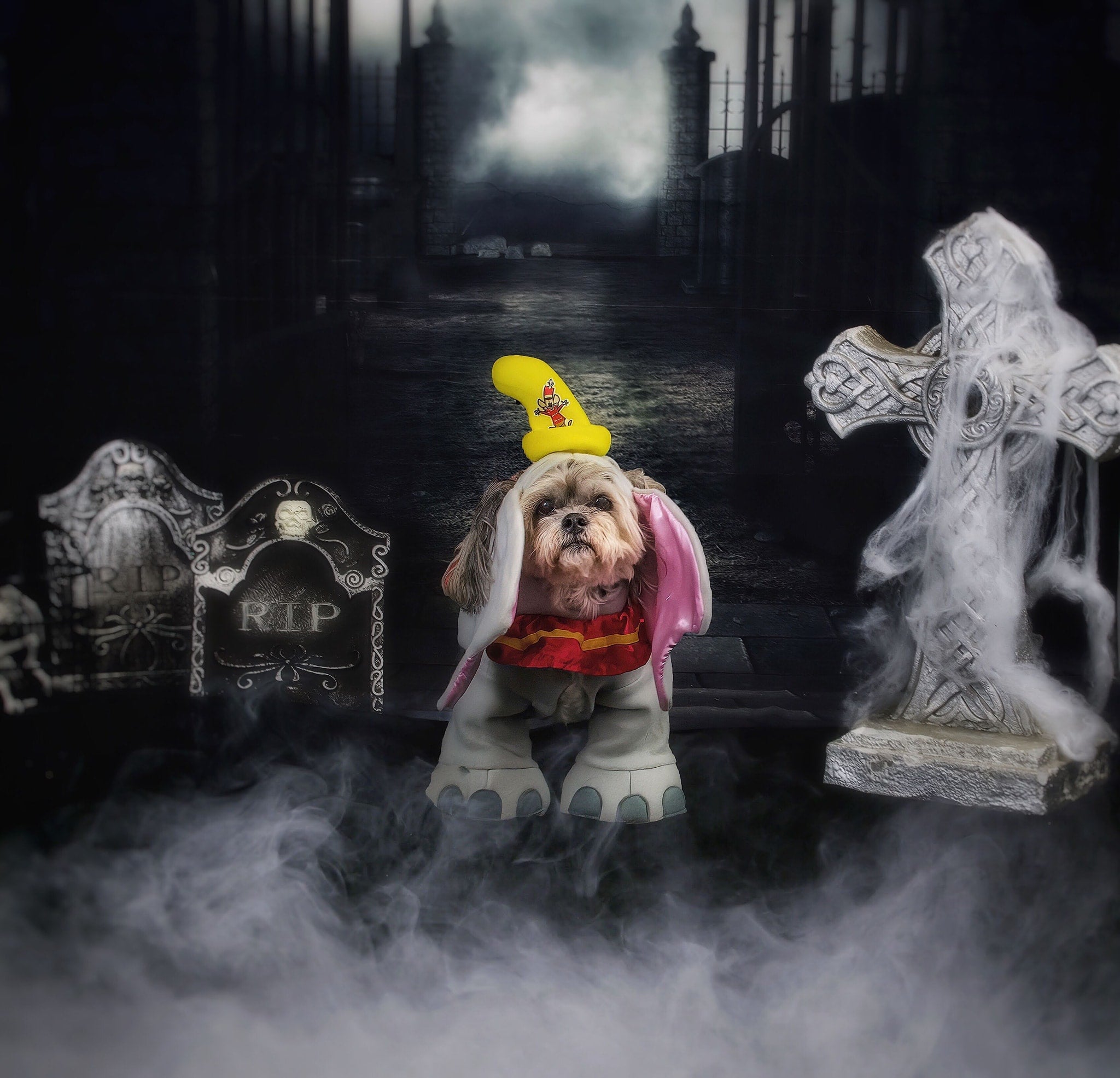 Kate 写真のハロウィン生地背景お化け屋敷