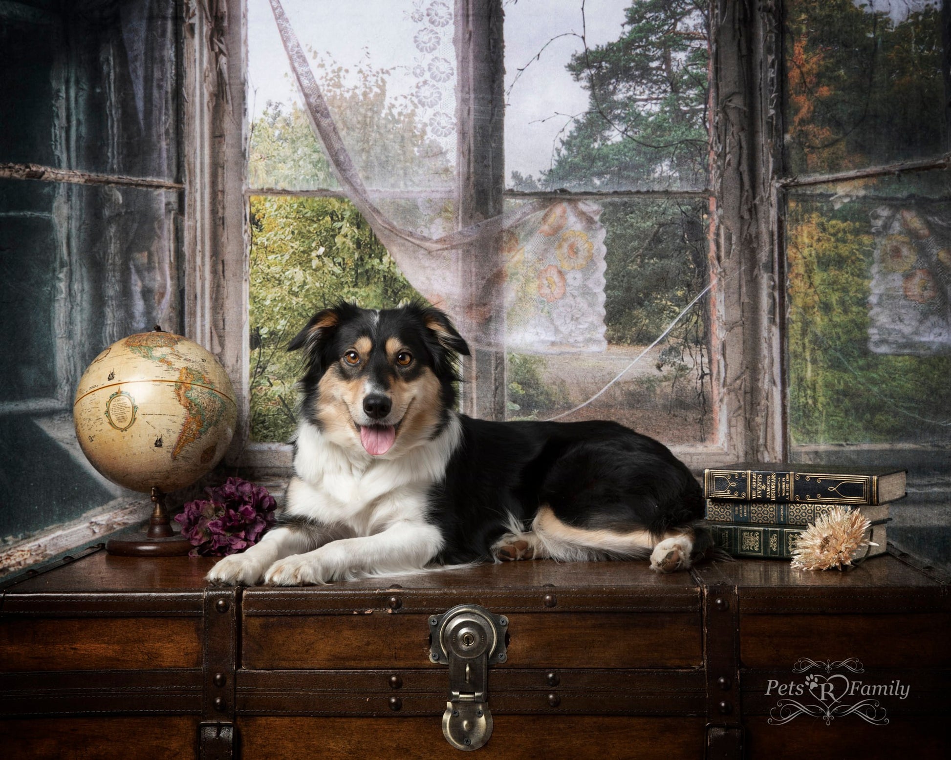 Kate 暗い灰色のレトロな城の窓の建物の背景