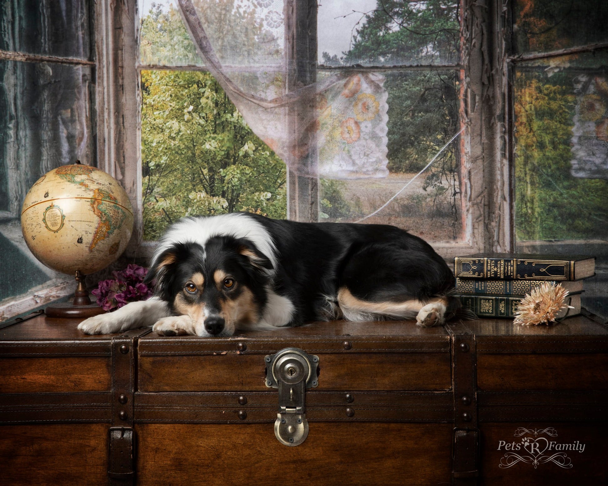 Kate 暗い灰色のレトロな城の窓の建物の背景