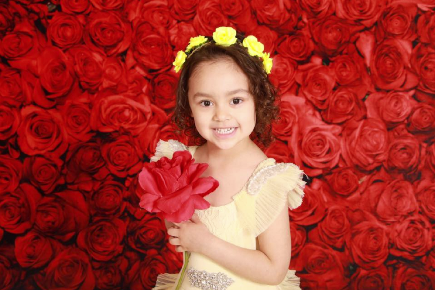 Kate 赤いバラの背景