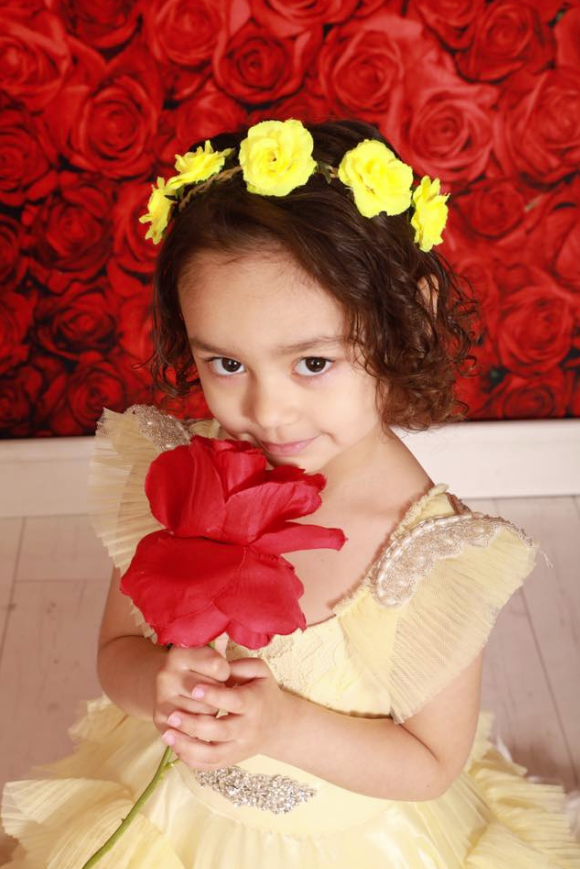 Kate 赤いバラの背景