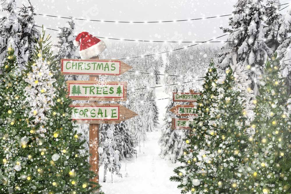 チェーン写真によって設計された写真撮影のためのKateクリスマスツリー雪の背景冬