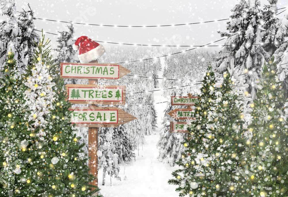 チェーン写真によって設計された写真撮影のためのKateクリスマスツリー雪の背景冬