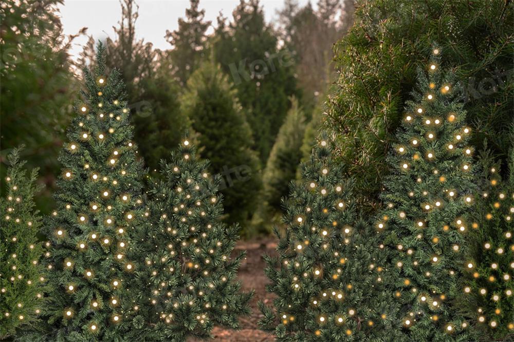写真撮影のためのケイトのクリスマスツリーの背景の森