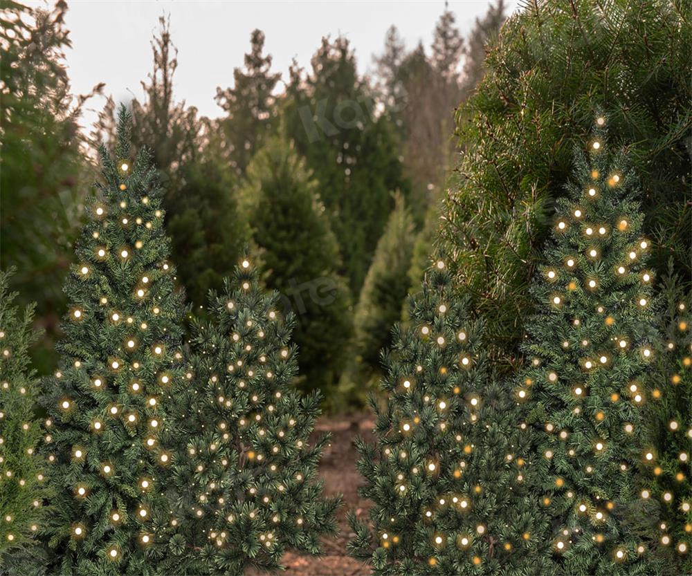 写真撮影のためのケイトのクリスマスツリーの背景の森
