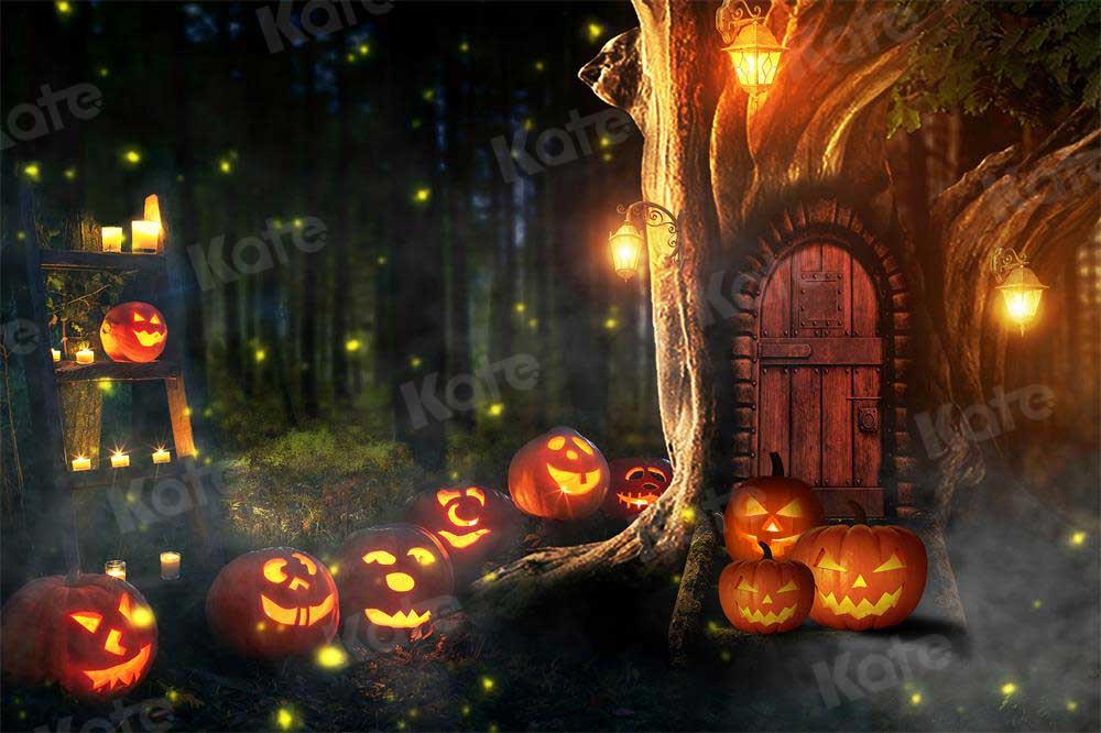 kateハロウィーンのカボチャの背景写真撮影のための秋の森の木の穴