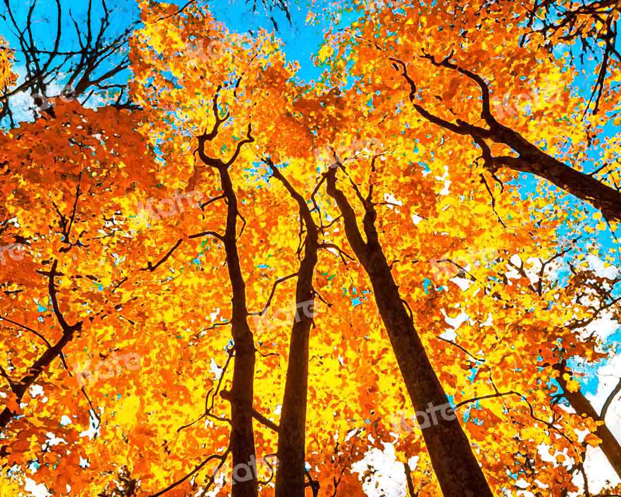 写真撮影のためのkate秋の森の空の背景