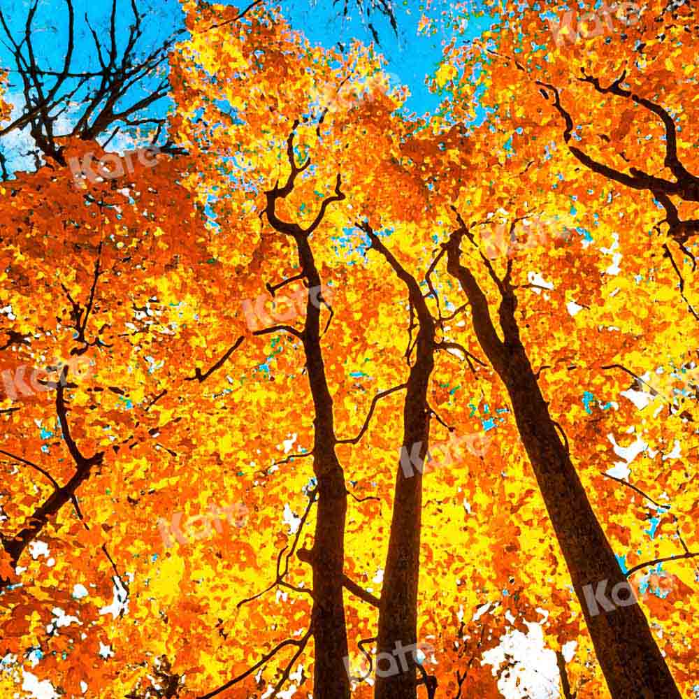 写真撮影のためのkate秋の森の空の背景