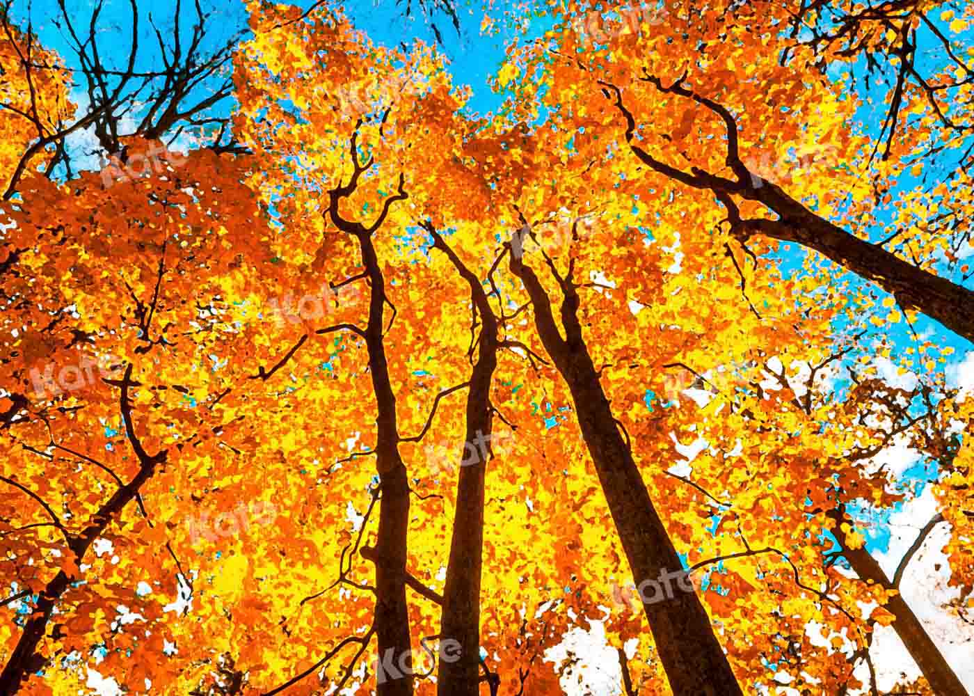 写真撮影のためのkate秋の森の空の背景