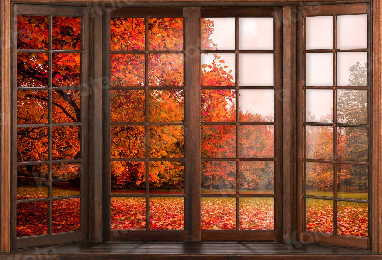 写真撮影のための窓の外のKateつの秋の落ち葉の背景
