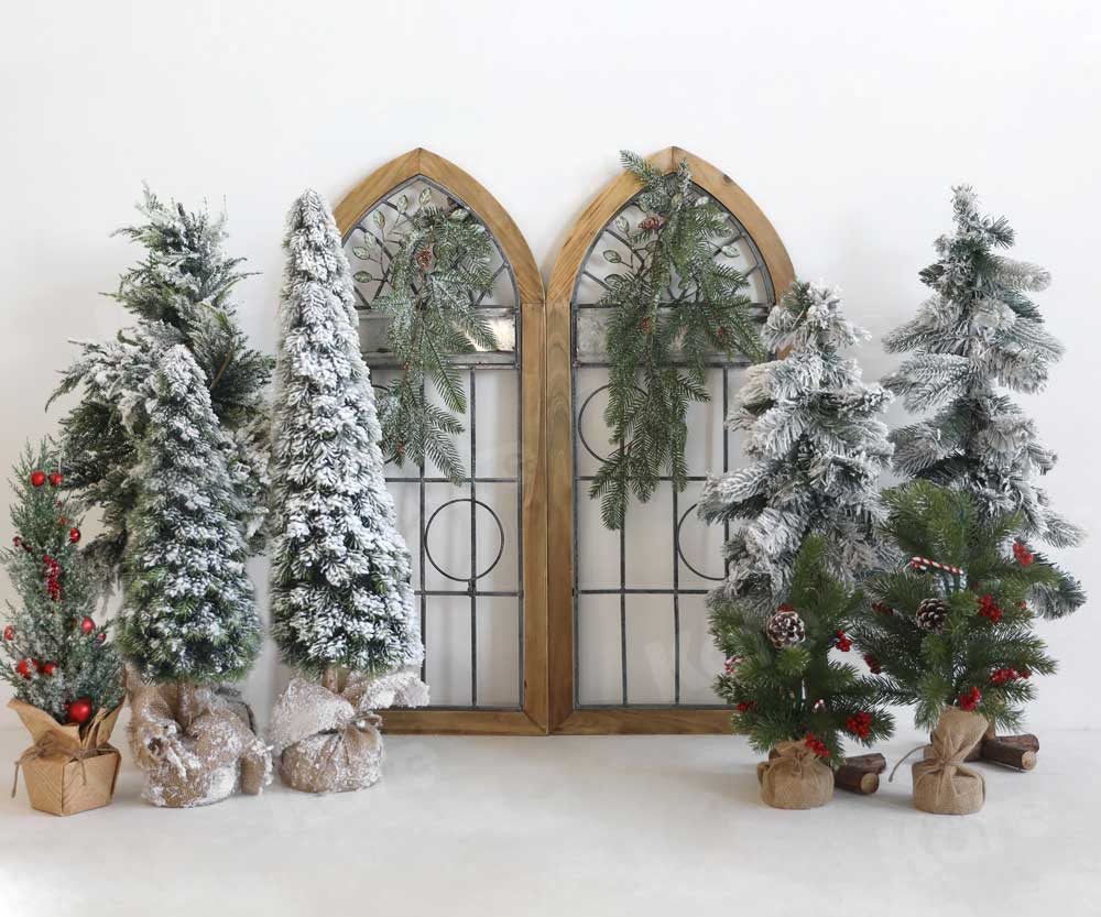kateクリスマス冬の背景の木写真撮影のための納屋のドア