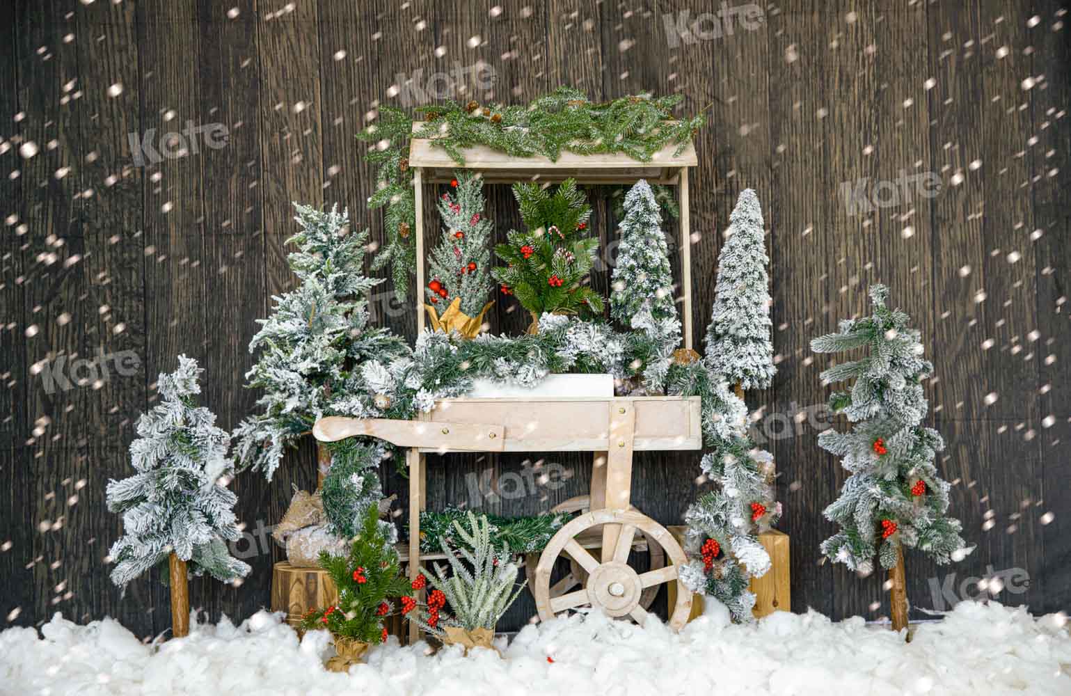 Kateクリスマスツリーの背景冬の雪