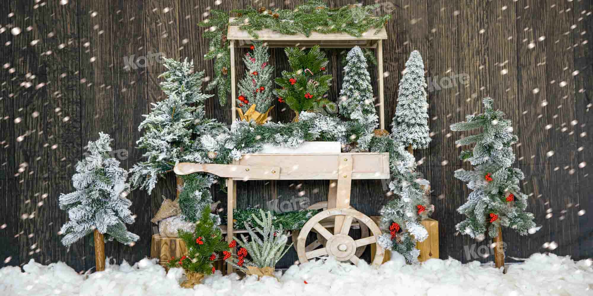 Kateクリスマスツリーの背景冬の雪