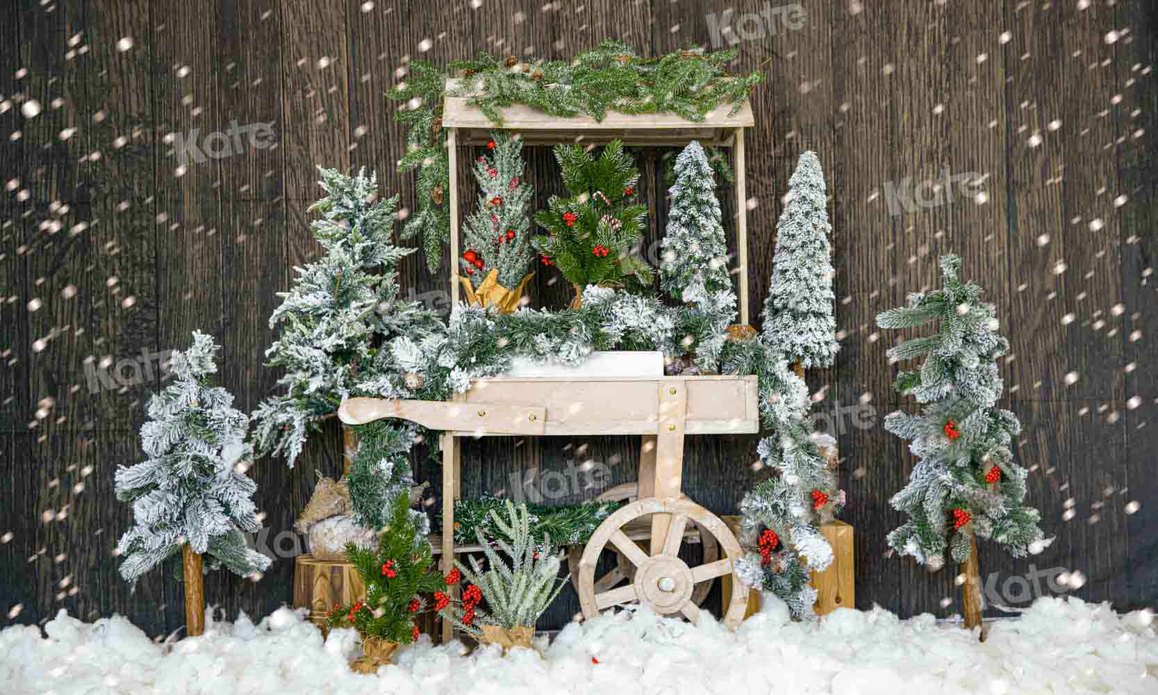 Kateクリスマスツリーの背景冬の雪