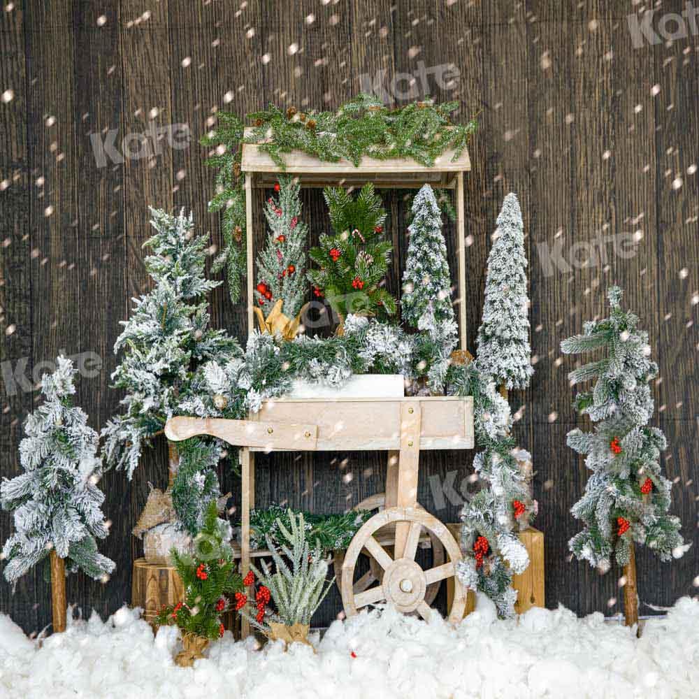 Kateクリスマスツリーの背景冬の雪