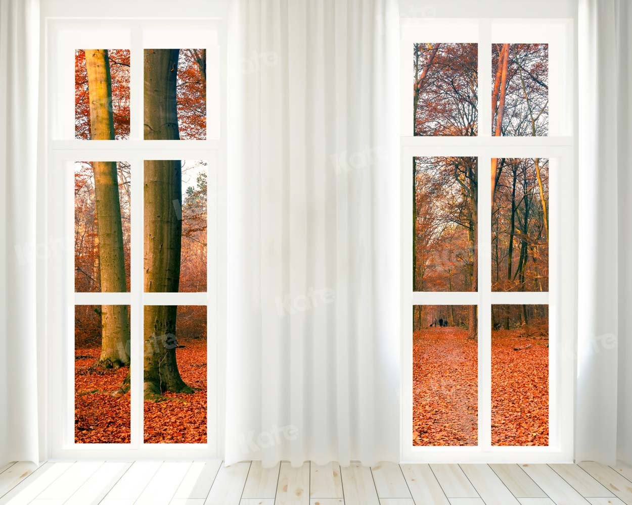 写真撮影のためのkate秋の森のドアの背景