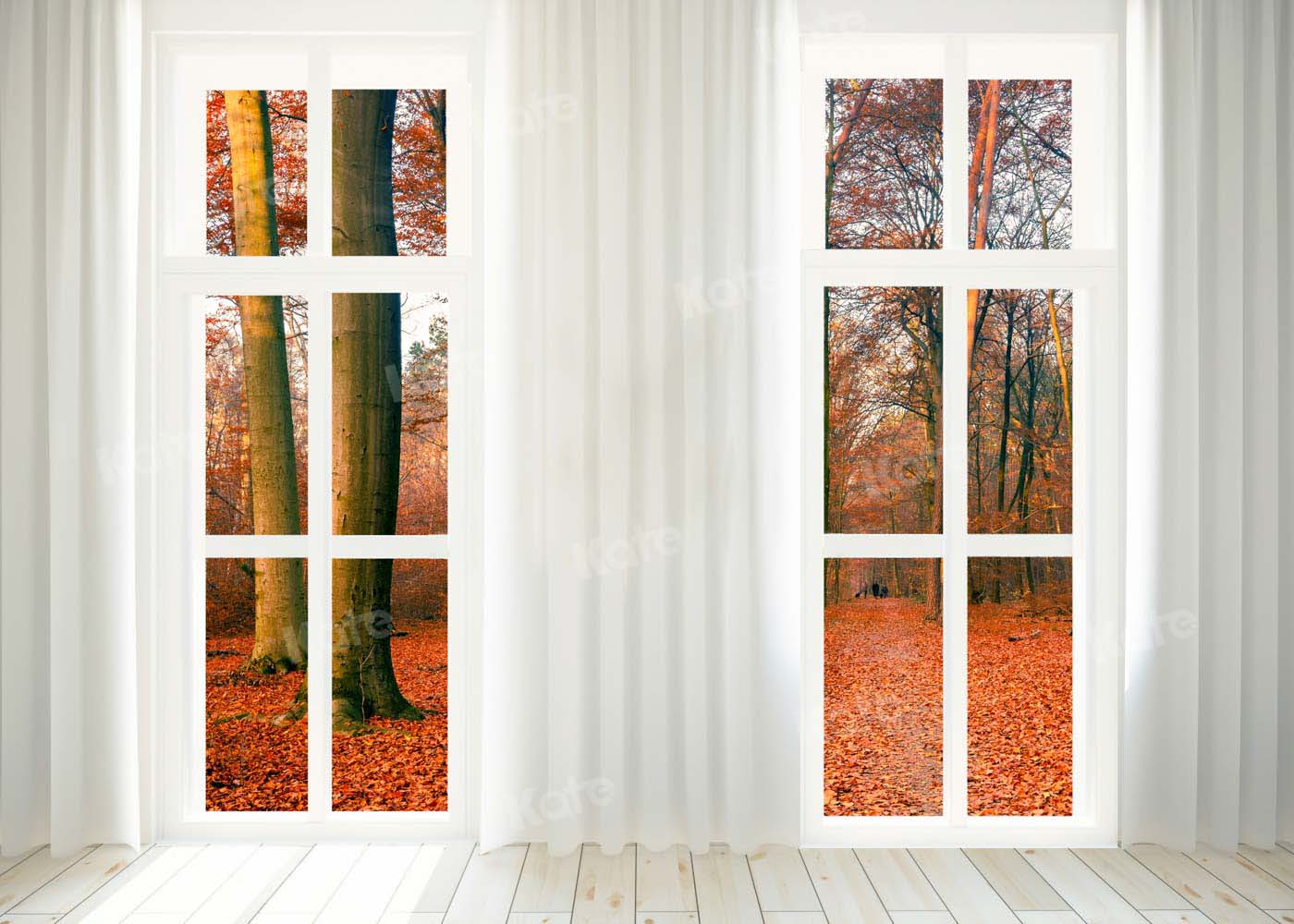 写真撮影のためのkate秋の森のドアの背景