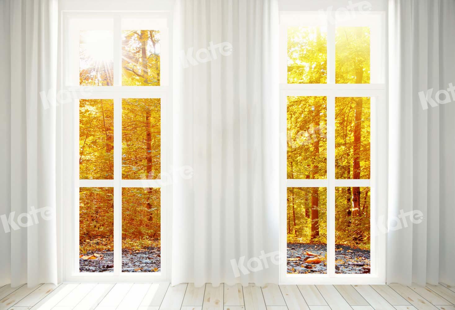 写真撮影のためのkate秋の森の黄色いドアの背景