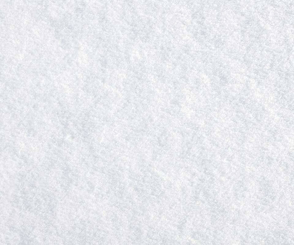 写真撮影のためのKateつの白い雪の背景の冬