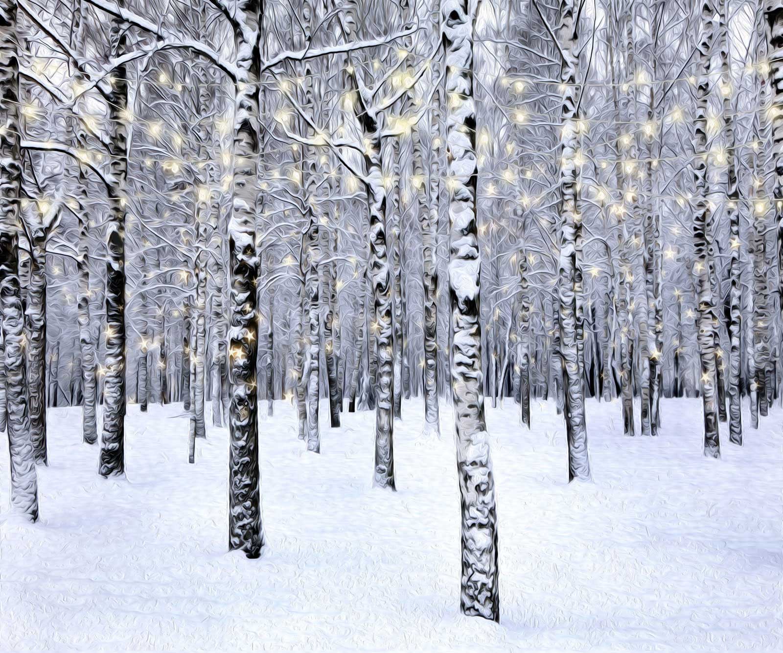 写真撮影のためのKateクリスマスの森の背景冬
