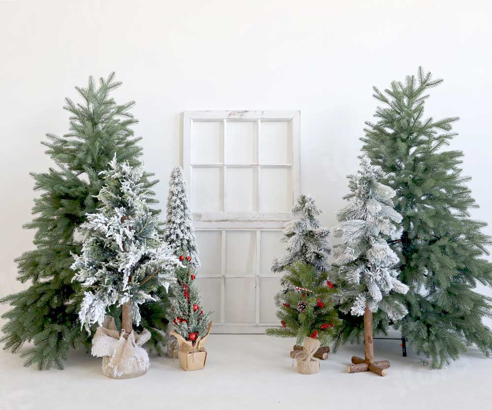 写真撮影のためのkateクリスマス冬の背景の木白