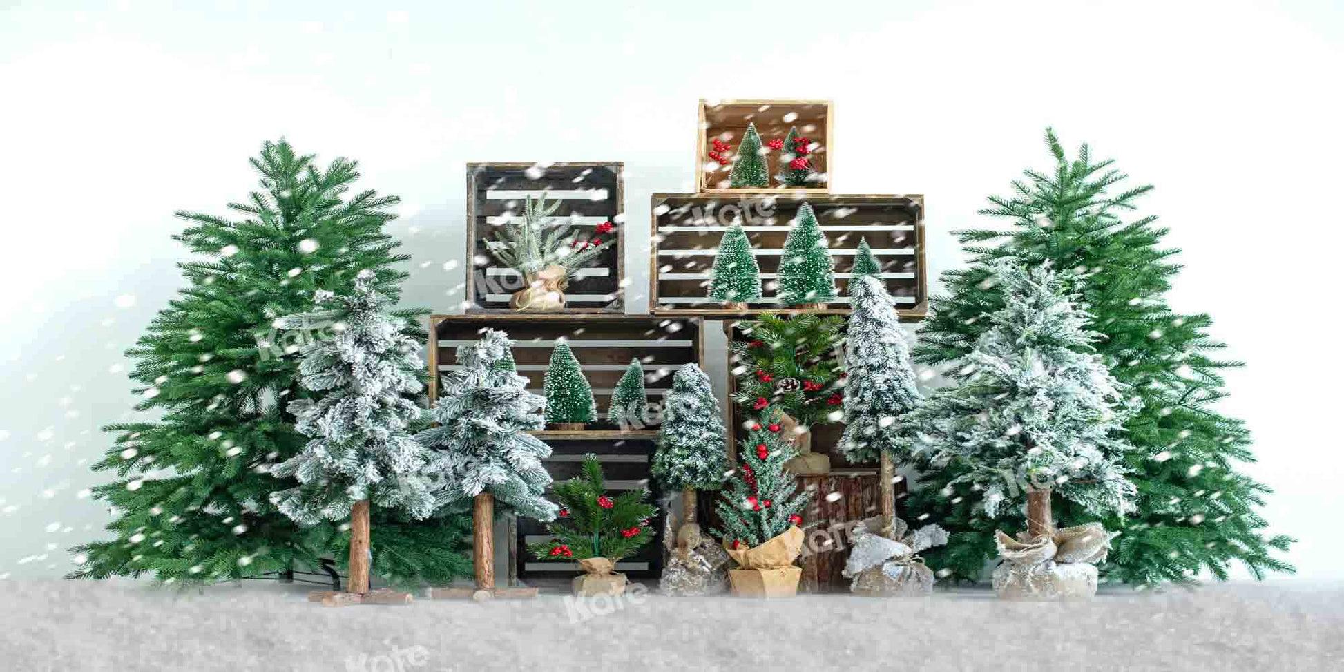 雪の中のKateつのクリスマスツリーの背景