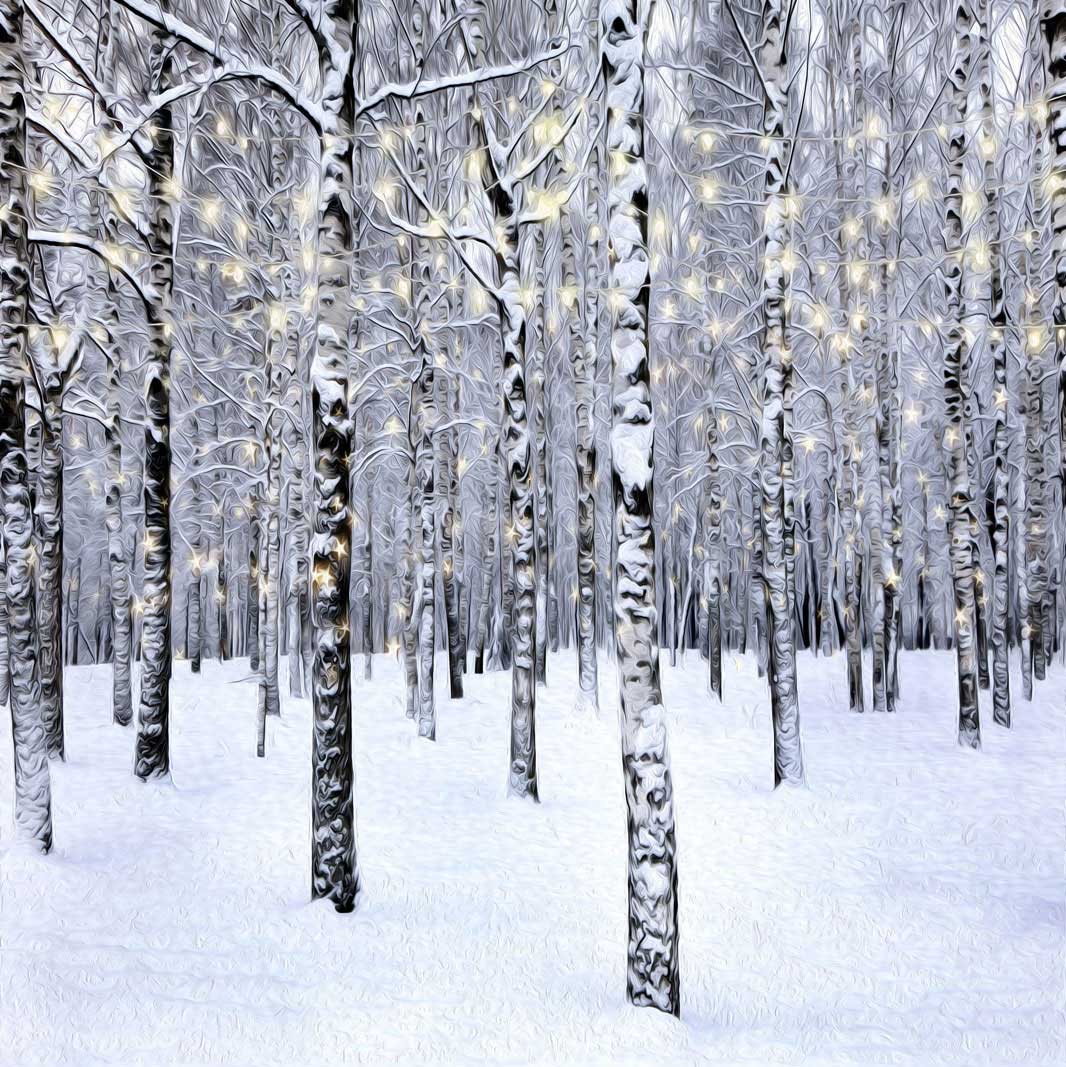 写真撮影のためのKateクリスマスの森の背景冬