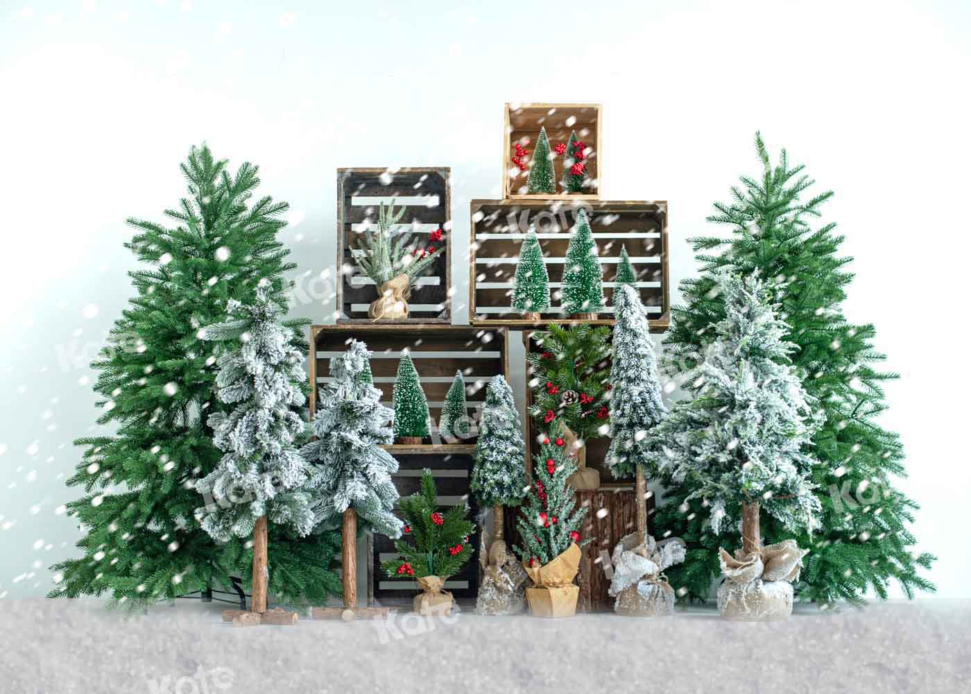 雪の中のKateつのクリスマスツリーの背景