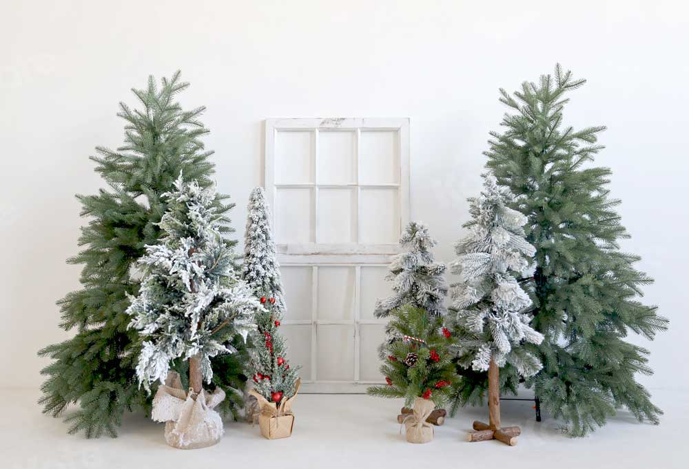 写真撮影のためのkateクリスマス冬の背景の木白