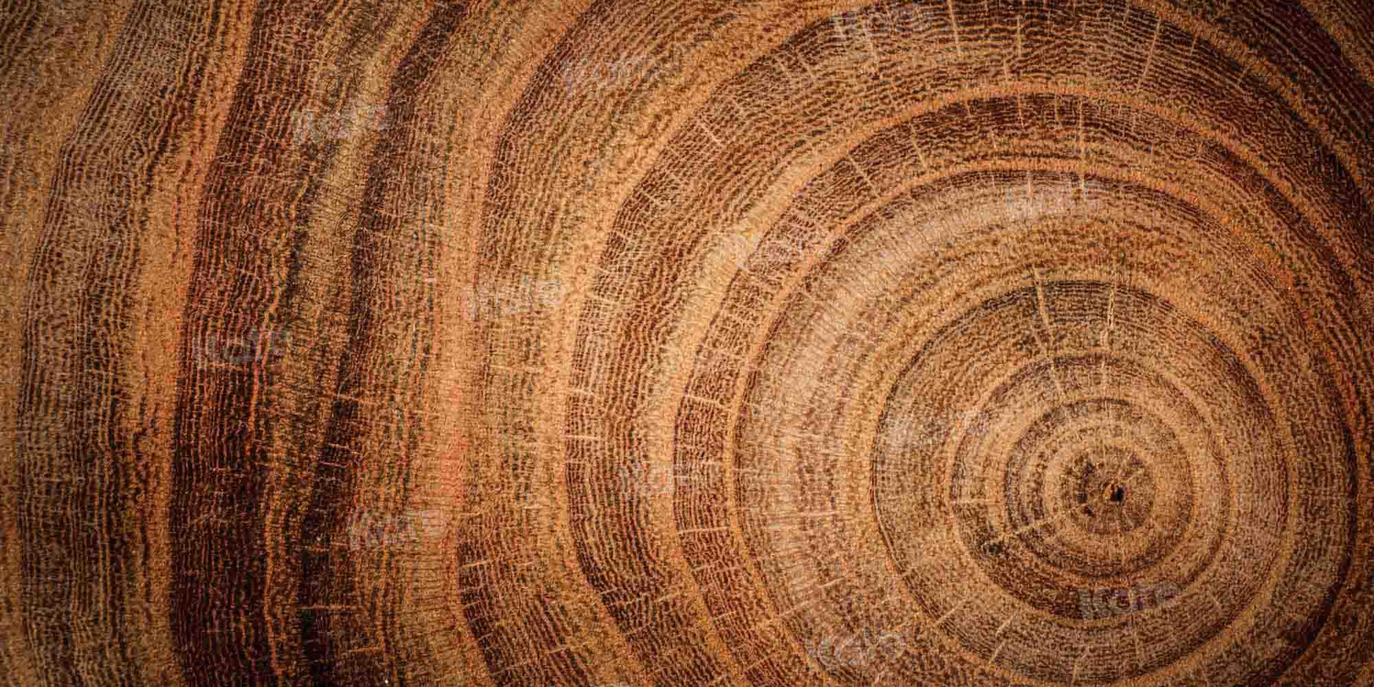 kateファインアートの背景まだらにされた木